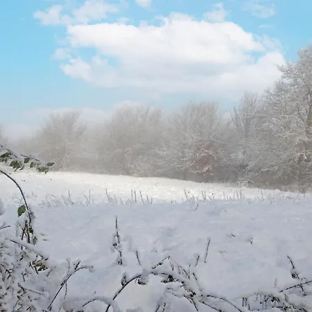 B&B Storm's - Near Mch & Boxen *