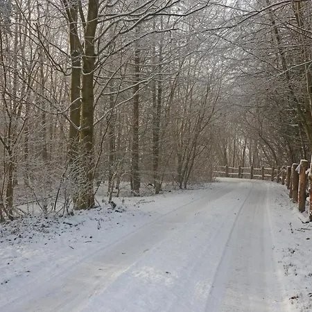 Nocleg ze śniadaniem Storm's - Near Mch & Boxen *