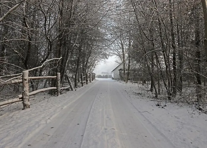 Storm's - Near Mch & Boxen *